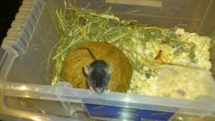 mr Mauff und mr Arsch 2375