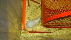 mr Mauff und mr Arsch 2380